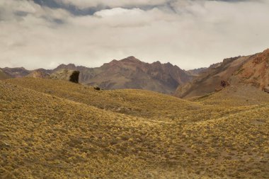 Güzel altın vadi. Tepelerin manzarası, kayalık dağlar ve sonbaharda sarı çayırlar.. 