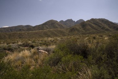 Açık mavi gökyüzünün altındaki yeşil tarlaların ve tepelerin manzarası.