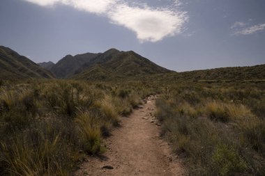 Sarı çayırlar boyunca yürüyüş. Güneşli bir günde çayırların ve dağların arasındaki patikanın görüntüsü.. 