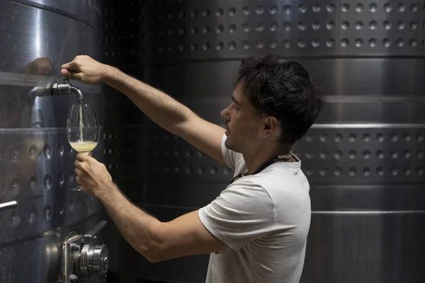 Wine making industry. Portrait of a young man filling a cup of glass with Chardonnay grapes white wine during the process of fermentation, directly from the steel tank.