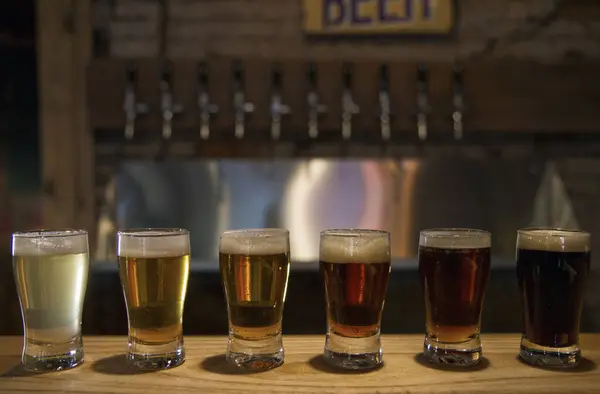 Bebidas Com Amostras Bar Diferentes Tipos Cerveja Artesanal Copos Com — Fotografia de Stock
