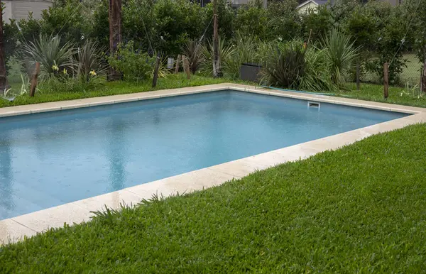 The house rectangular swimming pool and green grass in the backyard.