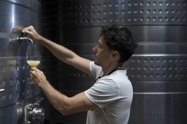 Wine making industry. Portrait of a young man filling a cup of glass with Chardonnay grapes white wine during the process of fermentation, directly from the metal tank.