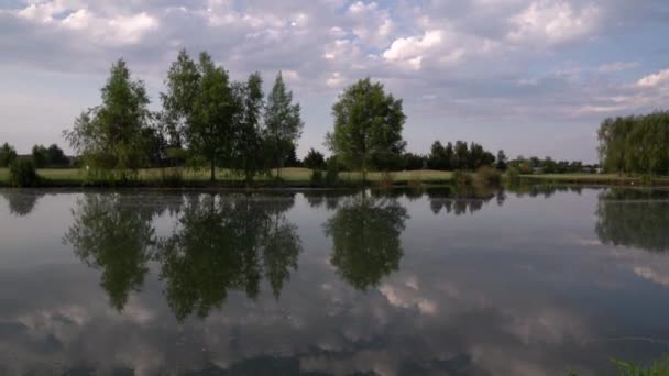 Άποψη Της Λίμνης Και Γήπεδο Γκολφ Ψηλαφώντας Στη Λίμνη Δέντρα — Αρχείο Βίντεο