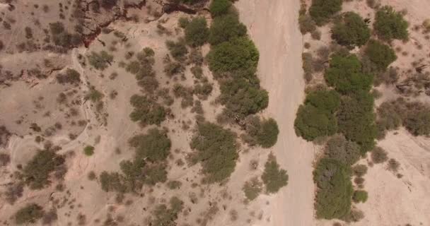 Vista Aerea Aerea Della Superficie Desertica — Video Stock