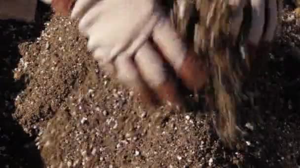 园丁手拿着手套 用黑土 珍珠岩和沙子混合而成的泥土的布景 — 图库视频影像