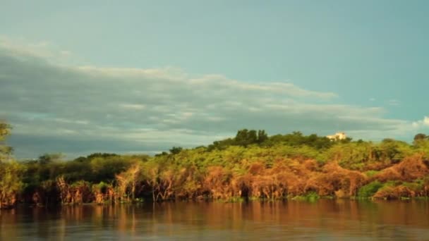 Ekoturismus Úhel Pohledu Loď Plující Řece Boční Pohled Džungli Při — Stock video