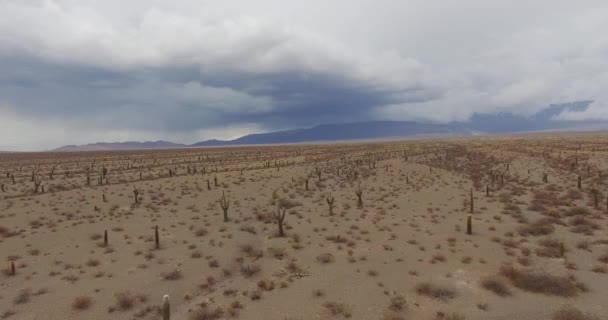 Luftaufnahme Der Trockenen Wüste Und Des Kaktus Unter Stürmischem Himmel — Stockvideo