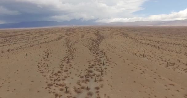 Luftaufnahme Der Trockenen Wüste Unter Dramatischem Himmel — Stockvideo