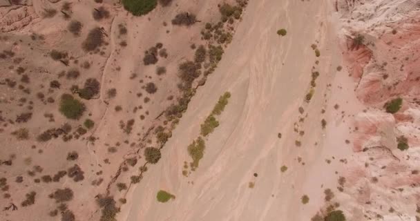 Εναέρια Κάτοψη Της Επιφάνειας Της Ερήμου — Αρχείο Βίντεο