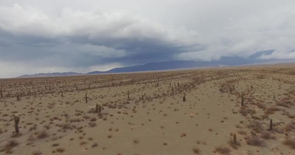 Luftaufnahme Der Trockenen Wüste Und Des Kaktus Unter Stürmischem Himmel — Stockvideo