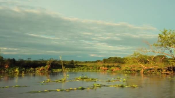 Blick Auf Ein Boot Das Bei Sonnenuntergang Auf Dem Parana — Stockvideo