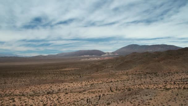 Tiempo Transcurrido Desierto Del Parque Nacional Los Cardones Salta Argentina — Vídeos de Stock