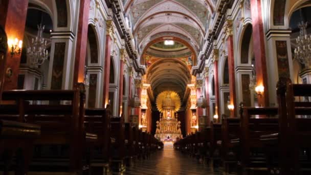 View Interior Cathedral Basilica Salta Baroque Neoclassic Architecture Styles — Vídeo de Stock