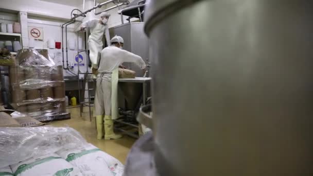 Livsmedelsindustrin Industriell Glassproduktion Utsikt Över Fabriksarbetare Tömma Vitt Socker Och — Stockvideo