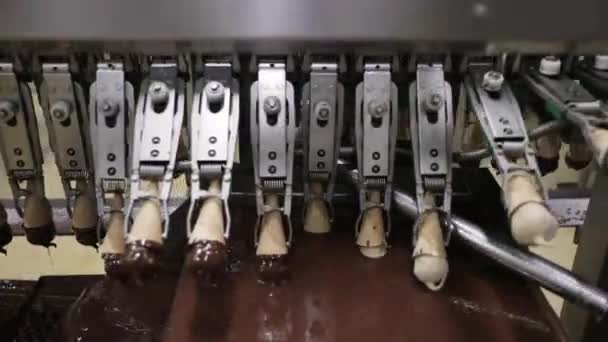 Voedingsmiddelenindustrie Industriële Ijsfabriek Lijn Close Upweergave Van Een Geautomatiseerde Machine — Stockvideo
