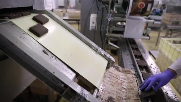 食品工业 工业冰淇淋生产过程 工人戴着手套 沿着传送带摆放蘸有巧克力的冰激凌片的照片 — 图库视频影像