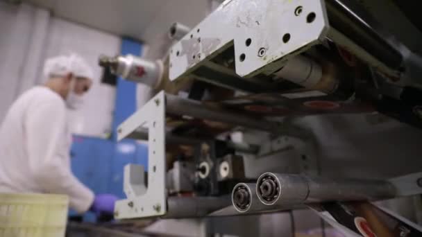 Przemysł Spożywczy Produkcja Lodów Przemysłowych Widok Komercyjnej Automatycznej Maszyny Pakującej — Wideo stockowe