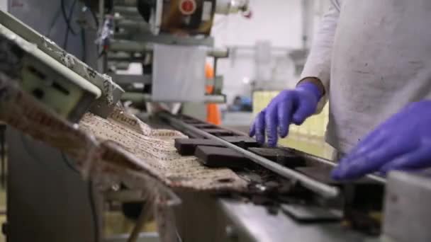 食品工业 工业冰淇淋生产过程 工人戴着手套 沿着传送带摆放蘸有巧克力的冰激凌片的照片 — 图库视频影像