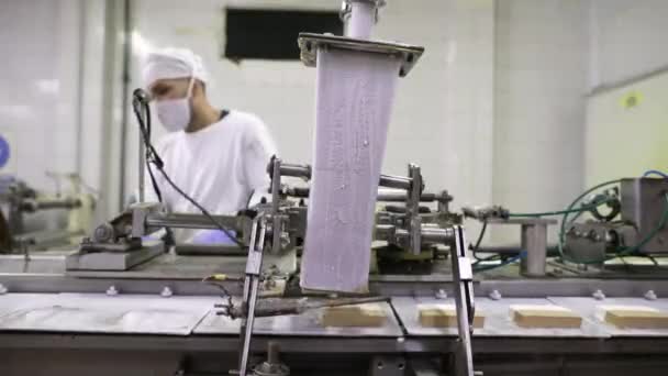 Livsmedelsindustrin Automatisering Och Teknik Närbild Bild Fabriken Operatör Som Arbetar — Stockvideo