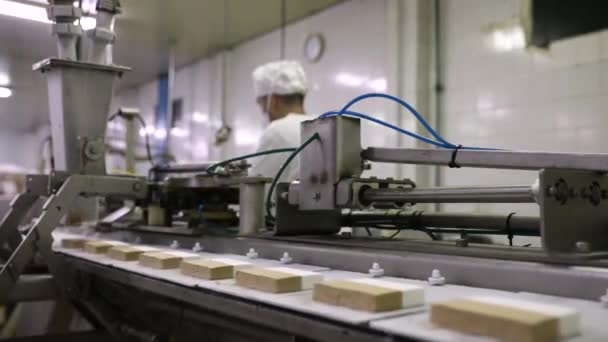 Potravinářství Automatizace Technologie Detailní Pohled Továrního Operátora Jak Pracuje Krájecí — Stock video