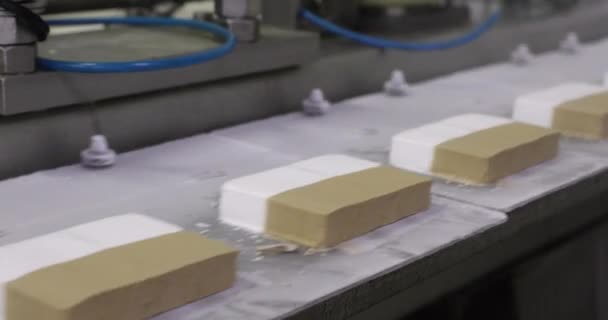 Линия Промышленного Производства Мороженого Крупный План Замораживания Транспортировки Таблеток Мороженого — стоковое видео
