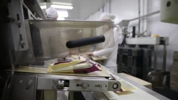 食品産業と製造業について コンベヤーベルトに沿って商業完成品を輸送する機械を包むアイスクリームのコーンのビュー 生産を箱に入れる工場労働者 — ストック動画
