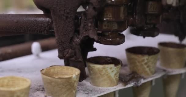 Indústria Alimentar Automação Fabricação Vista Perto Uma Máquina Elétrica Pulverizando — Vídeo de Stock