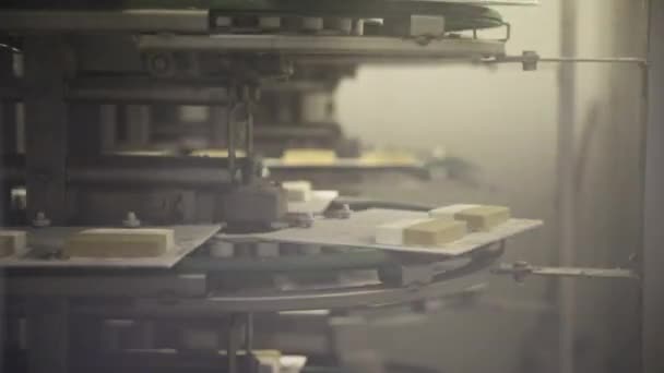 Industriële Ijsproductielijn Uitzicht Commerciële Ijs Tabletten Geautomatiseerde Koelkamers Machines — Stockvideo
