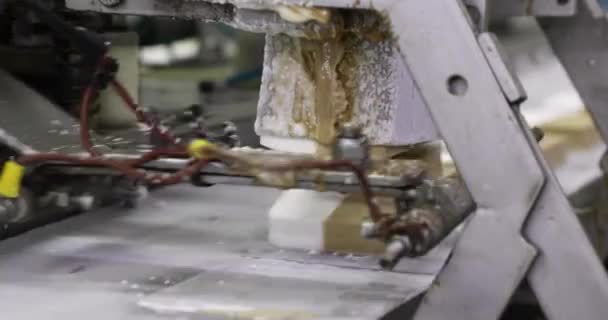 Élelmiszeripar Automatizálás Technológia Közelkép Egy Gép Szeletelő Krém Karamell Fagylalt — Stock videók