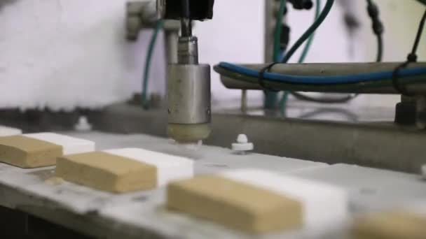 Produktionslinje För Industriglass Närbild Glass Tabletter Som Fryses Och Transporteras — Stockvideo