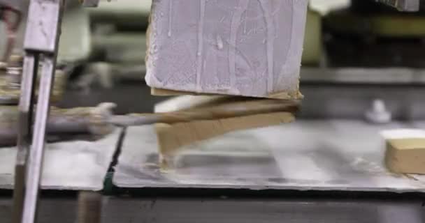 食品工业 自动化和技术 机械切片奶油及焦糖冰淇淋的截图 — 图库视频影像