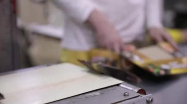 Yiyecek endüstrisi. Endüstriyel dondurma üretim işi. Ticari dondurma taşıyan taşıma bandının görüntüsü. Ürünü kutulara koyan bir fabrika işçisine..