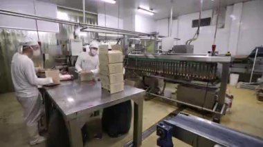 Yiyecek endüstrisi. Sanayi dondurma fabrikası. Çikolataya batırılmış dondurma külahlarını taşıyan ve ürünü plastik poşetlerle paketleyen otomatik bir makine görüntüsü. İşçiler son ürünü kutular..