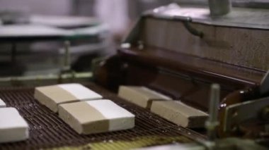 Yiyecek endüstrisi. Otomasyon ve teknoloji. Bir taşıma bandı ve bir makine kaplama krem ve çikolatalı dulce de leche dondurma tabletlerinin yakın görüntüsü.