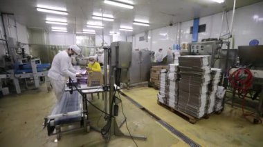 Yiyecek endüstrisi. Sanayi dondurma fabrikası makineleri ve işçiler.