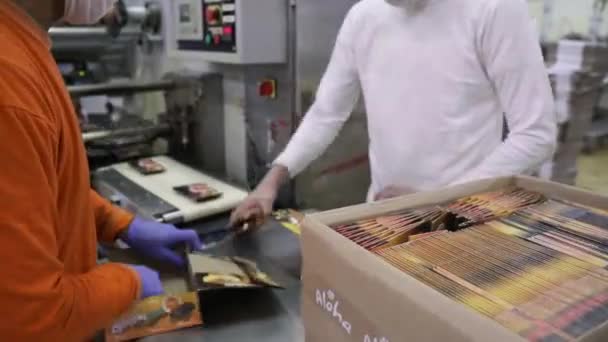 食品産業について 産業用アイスクリーム生産事業 プロダクトを箱に入れる工場労働者に商業アイスクリームを運ぶ包装機械およびコンベヤー ベルトの眺め — ストック動画