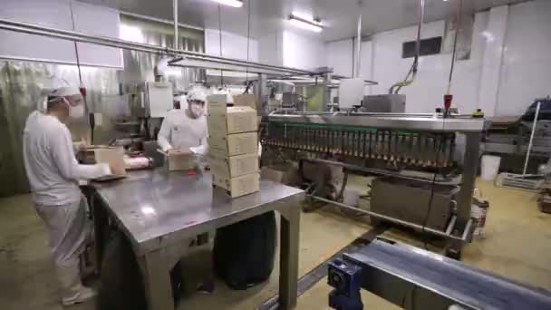 Industria Alimentaria Línea Fábrica Helados Industriales Vista Una Máquina Automatizada — Vídeos de Stock