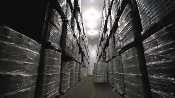 産業倉庫について 配達の準備ができている箱でいっぱいの貯蔵室の眺め — ストック動画