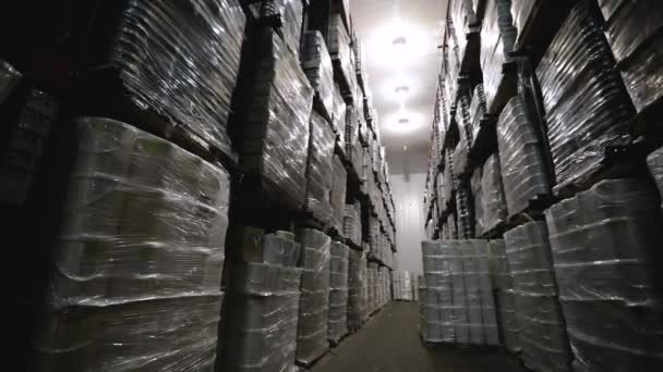 産業倉庫について 配達の準備ができた箱でいっぱいの貯蔵部屋のパン — ストック動画