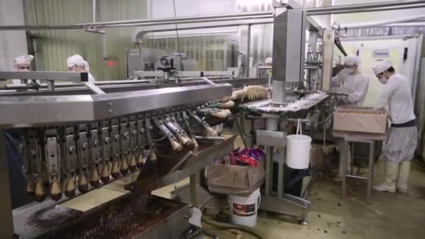食品産業について 産業アイスクリーム工場ライン 液体チョコレートにアイスクリームコーンを浸す自動機械のビュー — ストック動画