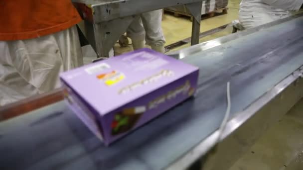 Industria Alimentare Dolce Gelato Industriale Scatola Trasportato Nastro Trasportatore Gli — Video Stock