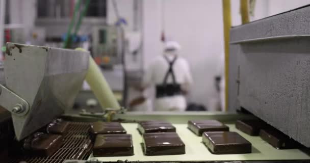 工業用アイスクリームデザート工場 自動化された機械によってチョコレートでコーティングされたアイスクリームタブレットを運ぶコンベアベルトのクローズアップビュー — ストック動画