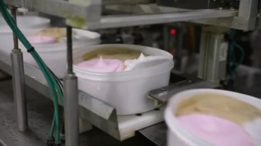 Dondurma fabrikası. Ticari dondurma tencerelerini farklı tatlarda taşıyan bir taşıma bandının yakın görüntüsü.