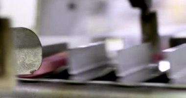 Yiyecek endüstrisi. Gıda üretiminde otomasyon ve teknoloji. Ticari çilek ve portakal aromalı dondurma makinesi..