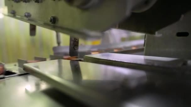 Potravinářství Automatizace Technologie Při Výrobě Potravin Komerční Jahodový Pomerančový Stroj — Stock video