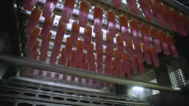 食品産業について 食品生産におけるオートメーションと技術 冷凍室でプロダクトを運ぶ商業イチゴおよびオレンジの風味を付けられたポップスル機械 — ストック動画