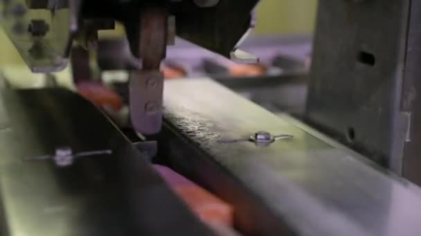 Industrielle Eis Stiel Fabrikmaschinen Arbeiten — Stockvideo