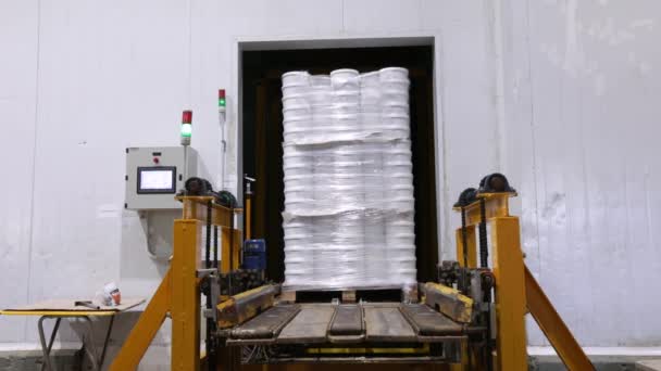 Linia Produkcyjna Produkcyjna Żywności Technologia Przemysłowa Maszyny Automatyczna Winda Transportująca — Wideo stockowe