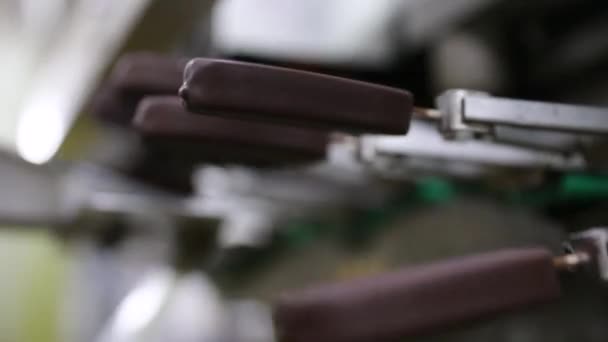 Промышленный Завод Мороженого Автоматизация Технологии Пищевой Промышленности Вид Машины Транспортировки — стоковое видео